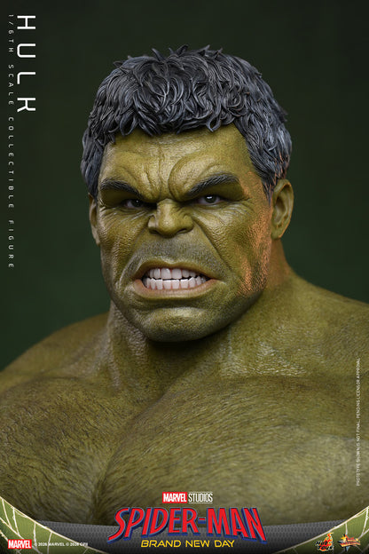 Hulk Sixth Scale Figure