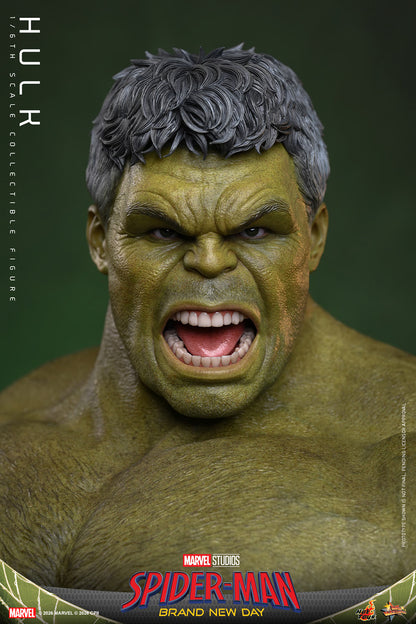 Hulk Sixth Scale Figure