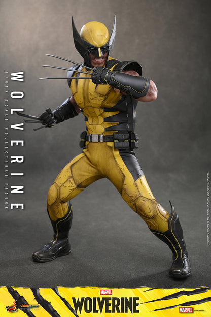 Wolverine Sixth Scale Figure