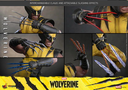 Wolverine Sixth Scale Figure