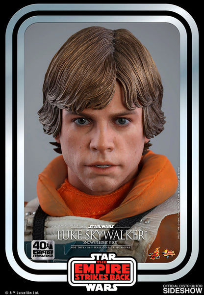 Luke Skywalker™ (Snowspeeder Pilot)