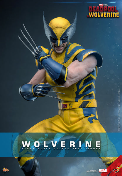Wolverine Sixth Scale Figure